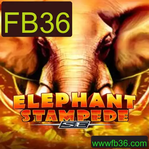 Tudo o Que Você Precisa Saber Sobre ElephantStampedeSE
